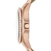 Fossil / Riley ES3466 手表