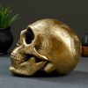 Хорошие сувениры / Figure "Skull" 19x13 cm
