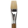 Brush art is a professional ART BRAUBERG "CLASSIC", the bristle brush, flat, No. 30, long handle