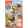 Умка / Umka / Encyclopedia "Predator Cubs"