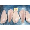 Frozen Pangasius Fillet