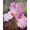 ВанГогВоМне / VanGogVoMne / Paint by number "Pink iris" 40x50 cm