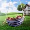Хорошие сувениры / Hanging decor "Sloth in a hammock"