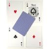 GamesDealer / Kartlar "Arı Altın Yerçekimi Standart Endeksi Kırmızı / Mavi"