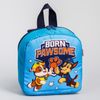 Paw Patrol / Mochila para niños "Equipo"