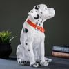 Хорошие сувениры / Piggy bank "Dog Dolmatinets"