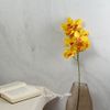 Kaemingk / Artificial flower Orchid Queen Eloise 71 cm