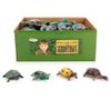 Играем вместе / We play together / Plastisol toys "Turtles"