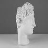 Мастерская Экорше / Plaster figure "Mask of Apollo"