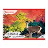 BRAUBERG / Sketchbook ECO "Wild Forest", 40 fogli A4, 205x290 mm, pettine, copertina in cartone