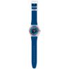 Swatch / Schweizer Uhr Swatch Pay! SVIW109-5300