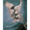 Опт-картина / Painting by numbers 40x50 Kiss