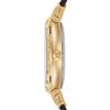 Salvatore Ferragamo / Orologi svizzeri Ferragamo Style SFDM00218