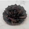 Milotto / Hairpin-brooch "Rose" dark chocolate