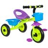 Bicycle "Micio Antic"
