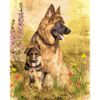 Опт-картина / Paint by number 40x50 German Shepherd