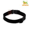 Пижон / Dude / Collar nylon single-layer, fastex with a lock, 70 x 2.5 cm, Osh up to 60 cm, black