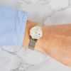 Tommy Hilfiger / Classic 1782055