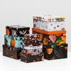 Сималенд / A set of boxes 10in1 "Tangerines"