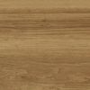Tabletop to table for dining 1200x800 mm, Corund 1023, SPECIAL WORK PLASTIC, oak mountain