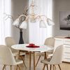 ПЕТРАСВЕТ / PETRASVET / Suspended chandelier S2202-5, 5xE14 max. 60W