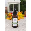 Tonic for face "Matting" SIBERINA
