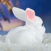 Хорошие сувениры / Piggy bank "Bunny"