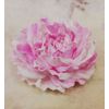 Milotto / Hairpin-brooch "Rose" color pink mix