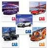 BRAUBERG / Notebook A5, 48 sh., ECO, cage, cardboard cover, COOL CARS 2/10 pcs.