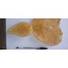 Dried fish mouth