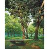 Опт-картина / Peinture par numéros 40x50 Pont de bois dans la forêt