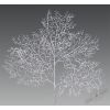 Holiday Classics / Fern branch "Silver Coral Reefs", 76 cm