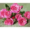 Опт-картина / Pintura por números 40x50 Rosas escarlatas