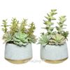 Kaemingk / Artificial potted plant Echeveria Lilicina 22 cm