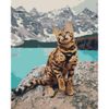 Опт-картина / Paint by number CAKADU 40x50 Cat