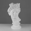 Мастерская Экорше / Plaster figure "Head of Apollo Belvedere"