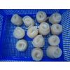 Pangasius fillet (Pangasius hypophthalmus)