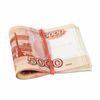 Universal bank rubber bands with a diameter of 60 mm, BRAUBERG 50 g, colored, natural rubber