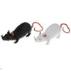 Играем вместе / We play together / Plastisol toy-toffee "Mouse"