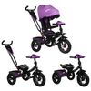 Bicycle "Micio Comfort Plus"