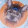 BRAUBERG / Diario 5-11 grado 48 l., Laminado duro, brillante, con punta, "Woof-Woof" / 10 uds.