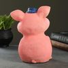 Хорошие сувениры / Piggy bank "Pig in a hat"