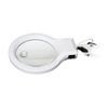 TransVit / Floor lamp Leda C20-043, LUPA (4.5 / 9 times, glass), floor lamp, LEDs 8 W, height 170 cm