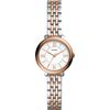 Fossil / 化石 / 手表 Jacqueline ES4612