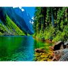 Опт-картина / Tranh theo số 40x50 Chế độ xem tuyệt vời