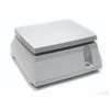 CAS / Filling scales SW-5 (0.04-5 kg) without stand, resolution 2 g, platform 241x192 mm