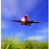AIRLINE CARGO TRANSPORTATION