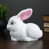 Хорошие сувениры / Piggy bank "Bunny"