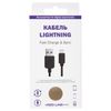 RED LINE / USB 2.0-Apple Lightning Cable, 1 m for IPhone (iPad) connection, black
