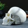Хорошие сувениры / Piggy bank "Skull" bone white, 16x13x22cm